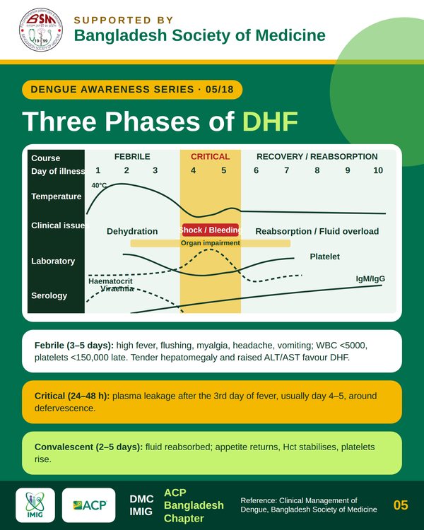 Three Phases of Dengue Haemorrhagic Fever