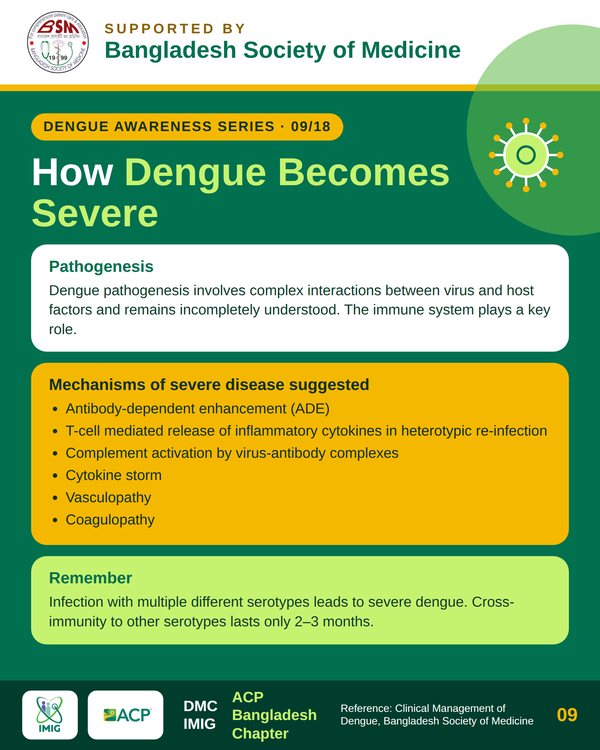 Pathogenesis & Immune Amplification