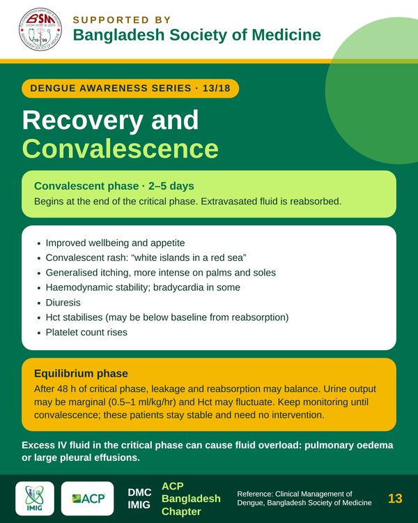 Convalescent Phase & Reabsorption Dynamics