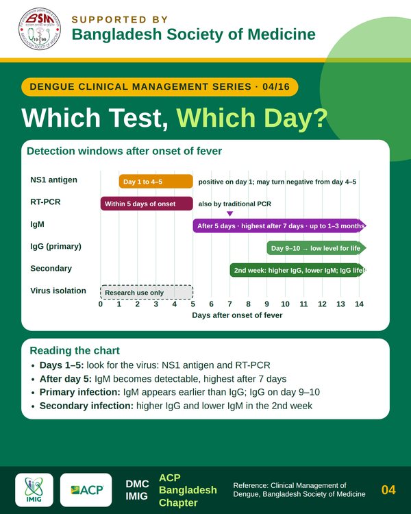 Diagnostic Windows: Which Test on Which Day?