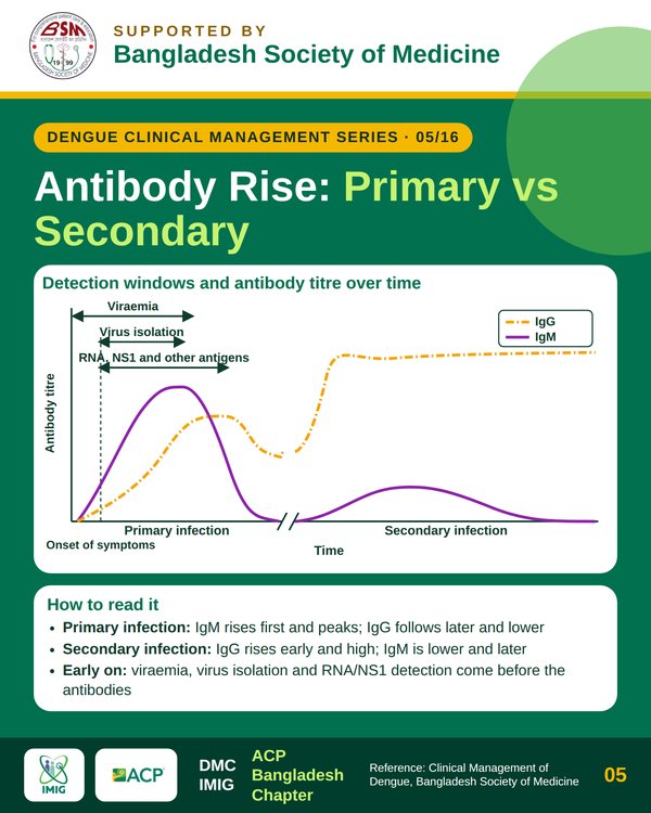 Antibody Kinetics: Primary vs Secondary Infection